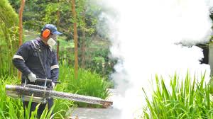 Best Pest Exclusion Services  in Millers Creek, NC